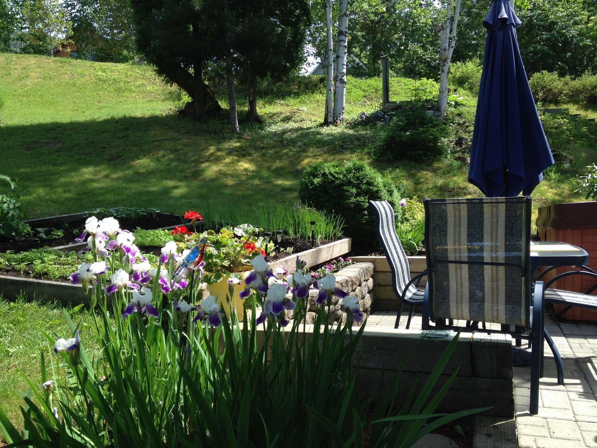 Panoramique Du Fjord Apartment L'Anse-Saint-Jean Luaran gambar