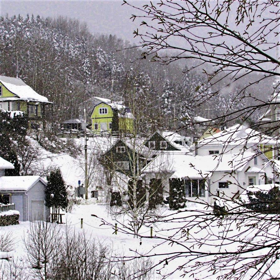 Panoramique Du Fjord Apartment L'Anse-Saint-Jean Luaran gambar