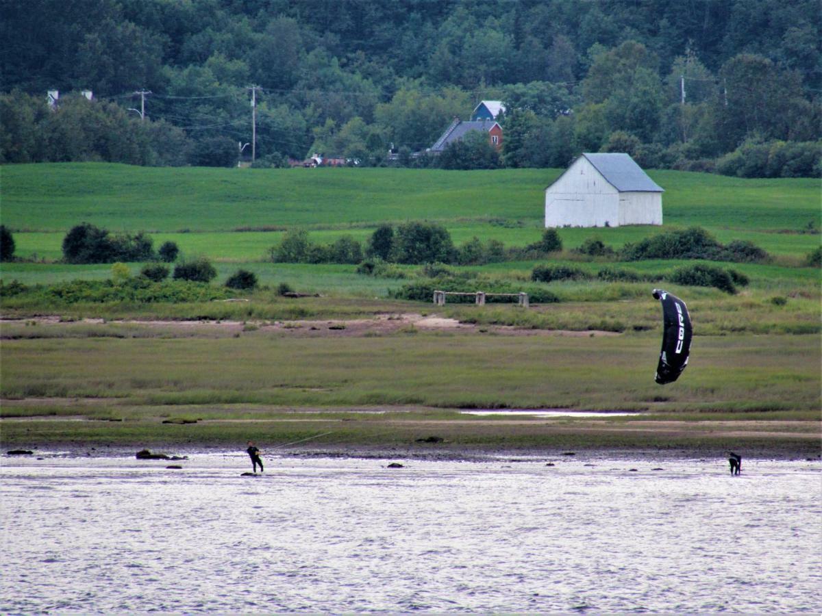Panoramique Du Fjord Apartment L'Anse-Saint-Jean Luaran gambar